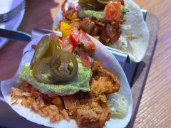 -Famous肥猫墨西哥音乐餐吧(五棵松华熙LIVE店)