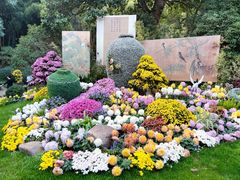 -杭州植物园