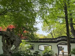 -上海醉白池公园