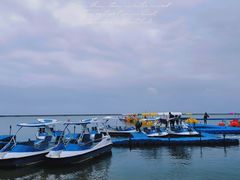 -碧海金沙