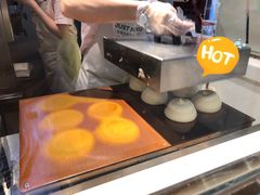 梳乎厘制作中-狐狸和向日葵(北京路店)