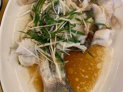 -菜鸟餐厅(珠江医院店)
