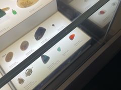 -墨尔本博物馆(Melbourne Museum)
