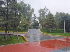 -渭滨公园