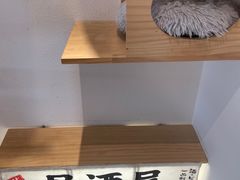 -猫小主咖啡·猫咖cat cafe(福田店)