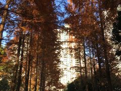 -苏州河梦清园环保主题公园