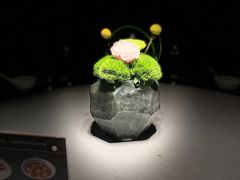 -南堂馆·新川菜(春熙路店)