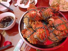 大闸蟹-小陆莲花蟹园农家乐(莲花岛店)
