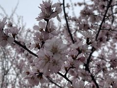 -朝阳公园