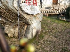 -无锡梅园公园