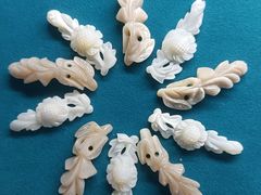 -青岛贝壳博物馆