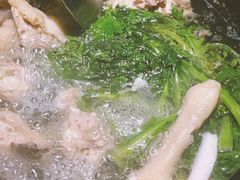 -百年果林椰子鸡(益田假日里店)