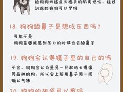 -瑞鹏宠物医院·骨外科·心肾科·肿瘤科(九亭店)