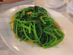 炒地瓜叶-廣味潮鲜·一品潮滋味(五道口店)