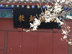 -万寿八仙宫