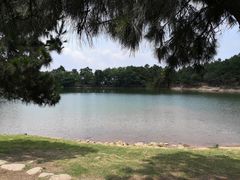 -南京市无想山景区