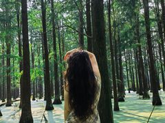 -渌洋湖湿地公园