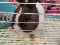 -UltraForce超源健身私教工作室(长楹天街精品店)