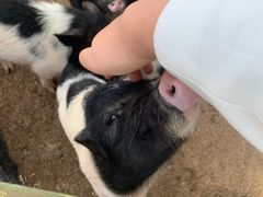 -云漫湖生态度假公园