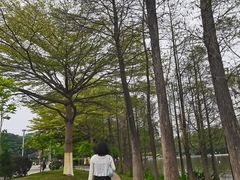 -东莞植物园