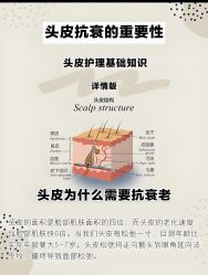 -Bollins波林丝•专研护发中心