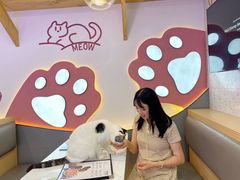 -喵园·猫主题咖啡厅·撸猫·猫咖(国贸店)