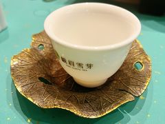 -成都峨眉雪芽大酒店
