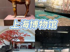 -上海山野camping·户外天幕烧烤·团建拓展营地