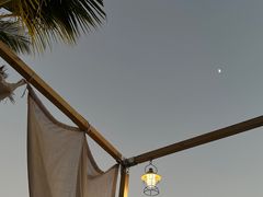 -精酿农场Brew Farm·沙漠绿洲餐厅