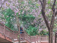 -广东花都湖国家湿地公园