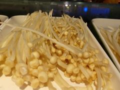 -杨肥肠小火锅(新桥店)