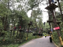 -梦幻奥陶纪景区