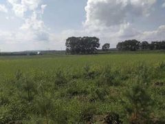 -沽源味道蒙餐莜面家常菜