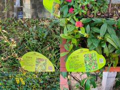 -广州神农草堂中医药博物馆