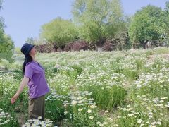 -汉长安城未央宫国家考古遗址公园