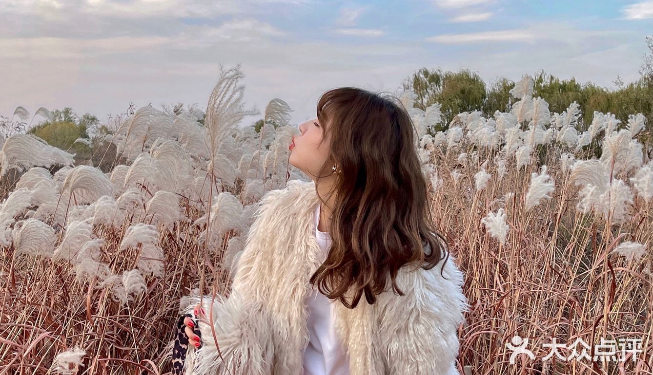 济南免费拍照圣地❗️芦苇荡拍照攻略
