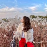 济南免费拍照圣地❗️芦苇荡拍照攻略