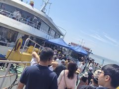 -巢湖姥山岛