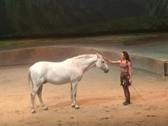 -cavalia·舞马
