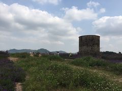 -光明小镇欢乐田园