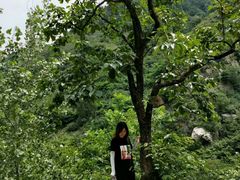 -秦岭风景区