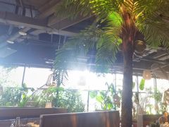 -大头椰·椰子鸡火锅(南宁万象城店)