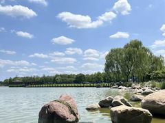 -石家庄市植物园