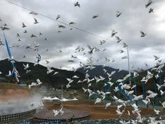 -瓷天下海丝谷