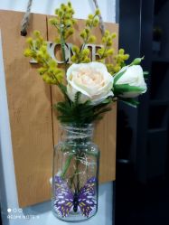 -DEM缔怡美科技美容