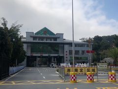 -打洛口岸
