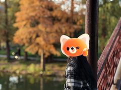 -焦山景区-万佛塔