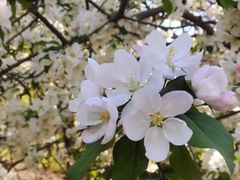 -元大都城垣遗址公园