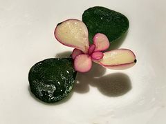 -本源食集 日式烧肉·炉端烧(东海缤纷店)