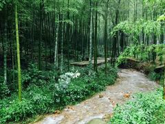 -黄公望隐居地